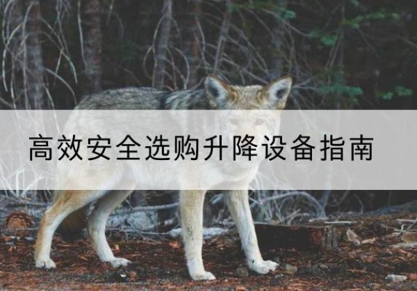 白云升降货梯厂家推荐-*安全选购升降设备指南